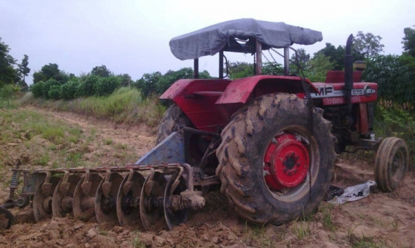 ขายรถไถแมชซี่ MF 185 เพลาเดี่ยว มี 7 จาน ราคา 110000