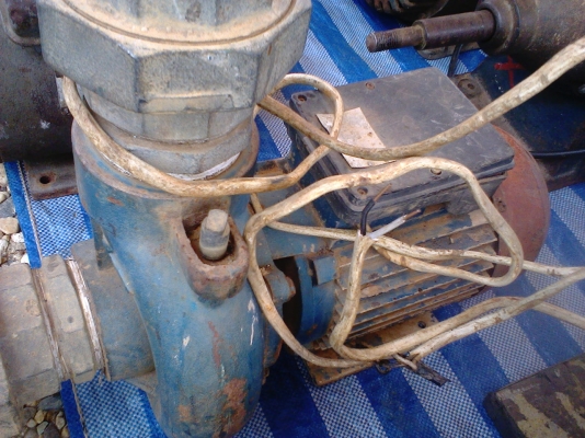 ขายแล้วครับปั้มน้ำ 3 แรง 3 นิ้วอิตาลี ขายแล้วครับปั้มน้ำ 3 แรง 3 นิ้วอิตาลี