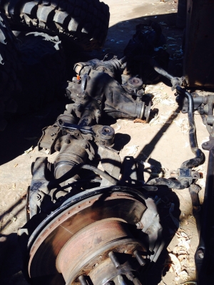 ขายแพหน้าไทเกอร์