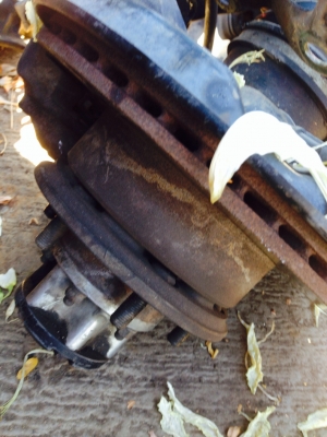 ขายแพหน้าไทเกอร์ ขายแพหน้าไทเกอร์