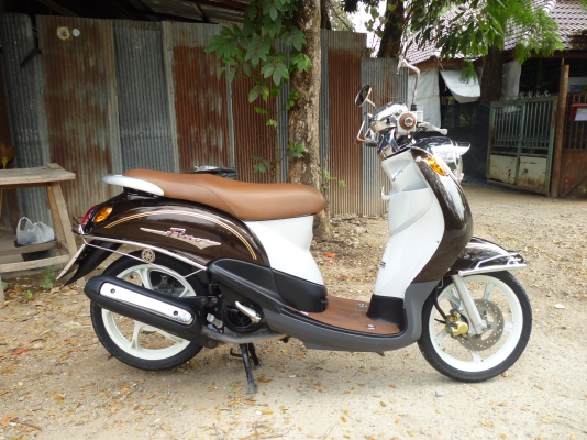 ฟีโน่ สีน้ำตาลขาว (ล้อแม็ค)  ภาษีเต็ม