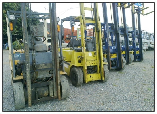 ขายโฟล์คลิฟต์ 2 ตันครึ่งหลายคัน