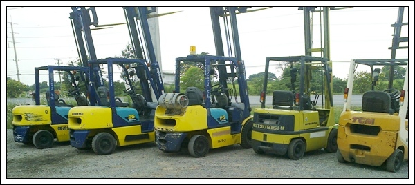 ขายโฟล์คลิฟต์ 2 ตันครึ่งหลายคัน