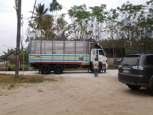 ISUZU  FVM  หัวบางเดิม  เครื่องเปลี่ยน  คัซซีสวยค่ะ  คุณสมใจ  จ.สงขลา  มัดจำเรียบร้อยแล้วค่ะ