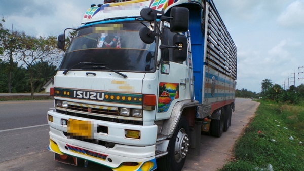ISUZU  FVM  หัวบางเดิม  เครื่องเปลี่ยน  คัซซีสวยค่ะ  คุณสมใจ  จ.สงขลา  มัดจำเรียบร้อยแล้วค่ะ