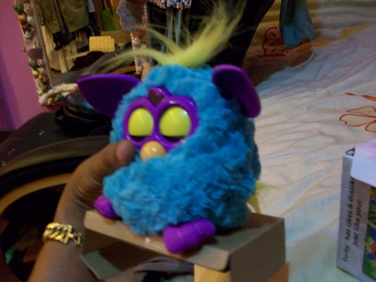 มาแล้วครับ ตุ๊กตา Furby ขายครับ มาแล้วครับ ตุ๊กตา Furby ขายครับ