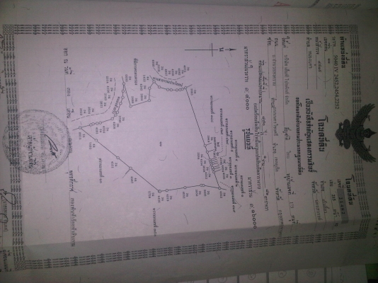 ขายที่ดิน ต.หนองเต่า อ.เก้าเลี้ยว จ.นครสวรรค์ 870-1-81 ไร่