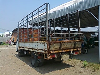 ขายรถ 6 ล้อ กระบะคารืโก้ ยาว.4.50 เมตร ISUZU NKR 115 สภาพสวย พร้อมใช้