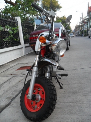 ขายGORILA ครับ 16500บาท