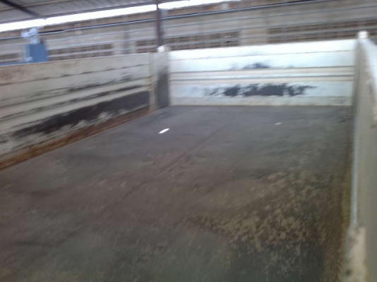 รถอิซูซุ 6 ล้อดั๊ม NKR  130 แรงม้า ปี 50 สนใจติดต่อ 081 - 6079515