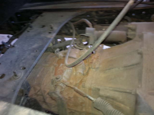 รถอิซูซุ 6 ล้อดั๊ม NKR  130 แรงม้า ปี 50 สนใจติดต่อ 081 - 6079515