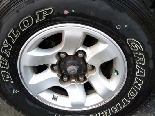 ขาย tiger d4d 4x4  ปี 2003