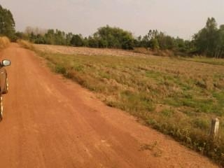 ขายที่นา  4 ไร่ หน้ากว้างประมาณ 50 เมตร  ใบ นส 3 ก