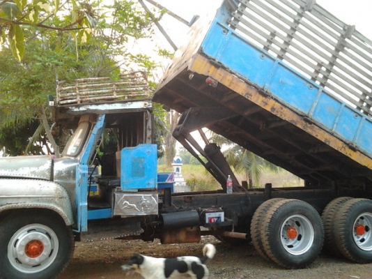 ISUZU TX 145 HP 6BB1 รถหัวยาว 10 ล้อดั๊มพ์เพลาเดียว กระบะดั๊มพ์คอกไม้ 8 ตันสภาพดีไม่มีผุกร่อน ช่วงล่างใหญ่ชุดเพลาโบกี้ของ HINO F18 เครื่องดี ช่วงล่างคัชซีไม่ผุ ยางดี 10 เส้นพร้อมบรรทุกพร้อมใช้งานได้เลย เอกสารเล่มทะเบียนครบพร้อมโอน ราคาต่อรองได้ครับ