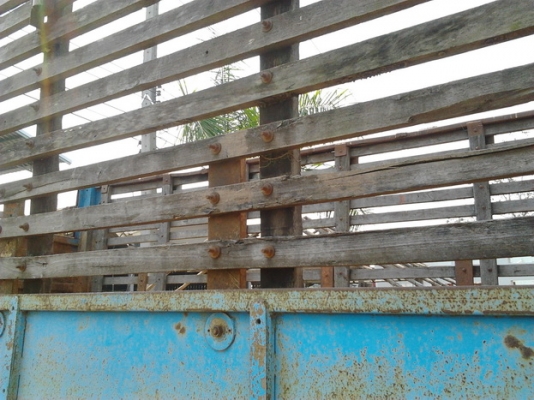 ISUZU TX 145 HP 6BB1 รถหัวยาว 10 ล้อดั๊มพ์เพลาเดียว กระบะดั๊มพ์คอกไม้ 8 ตันสภาพดีไม่มีผุกร่อน ช่วงล่างใหญ่ชุดเพลาโบกี้ของ HINO F18 เครื่องดี ช่วงล่างคัชซีไม่ผุ ยางดี 10 เส้นพร้อมบรรทุกพร้อมใช้งานได้เลย เอกสารเล่มทะเบียนครบพร้อมโอน ราคาต่อรองได้ครับ