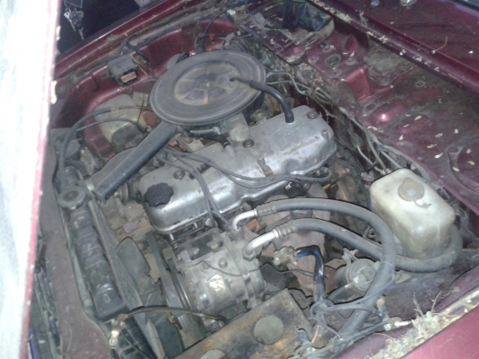 ขายมาสด้า