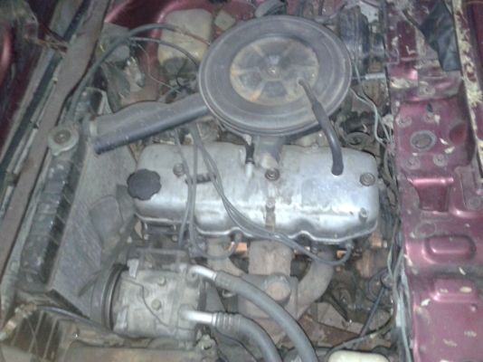 ขายมาสด้า