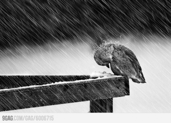 รถ00000000000000000