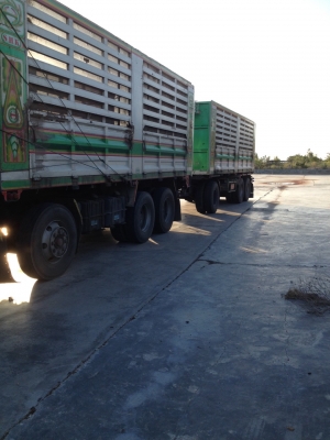 ประกาศขาย