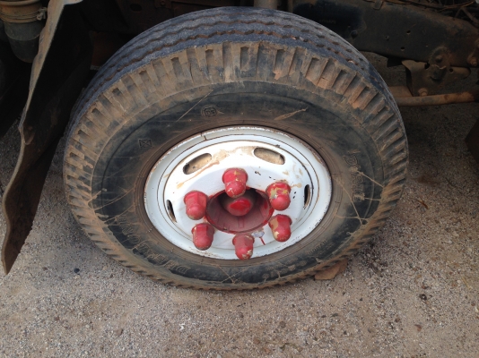 NPR 115 รถห้างแท้