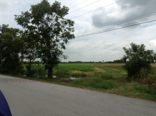 @@@   ที่ดินเปล่าหนองจอก กทม.106ไร่  @@@