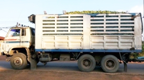 ISUZU JUMBO 270 HP 6SD1 TURBO สิบล้อ 2 เพลา มีระบบลากพ่วงติดตั้งมาพร้อมใช้งานครับ กระบะเหล็กคอกเกษตรไม่ดั๊มพ์พร้อมบรรทุกหนักได้เลย วางเครื่องยนต์วางเกียร์ของ ISUZU DECA ลงเล่มครบพร้อม ภายในเก๋งคอนโซลครบ พวงมาลัยเพาเวอร์ ระบบเบรคทริ๊ปฟี้ ช่วงล่างใหญ่ 2 เพล