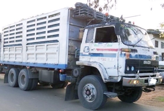 ISUZU JUMBO 270 HP 6SD1 TURBO สิบล้อ 2 เพลา มีระบบลากพ่วงติดตั้งมาพร้อมใช้งานครับ กระบะเหล็กคอกเกษตรไม่ดั๊มพ์พร้อมบรรทุกหนักได้เลย วางเครื่องยนต์วางเกียร์ของ ISUZU DECA ลงเล่มครบพร้อม ภายในเก๋งคอนโซลครบ พวงมาลัยเพาเวอร์ ระบบเบรคทริ๊ปฟี้ ช่วงล่างใหญ่ 2 เพล