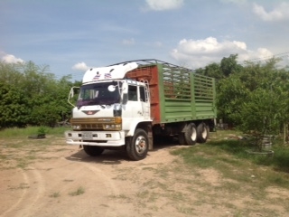 HINO F18 แท้ๆ กระบะเหล็กคอกสวย พร้อมใช้ HINO F18 แท้ๆ กระบะเหล็กคอกสวย พร้อมใช้