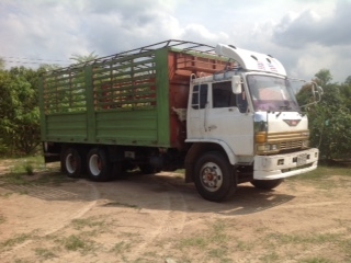 HINO F18 แท้ๆ กระบะเหล็กคอกสวย พร้อมใช้