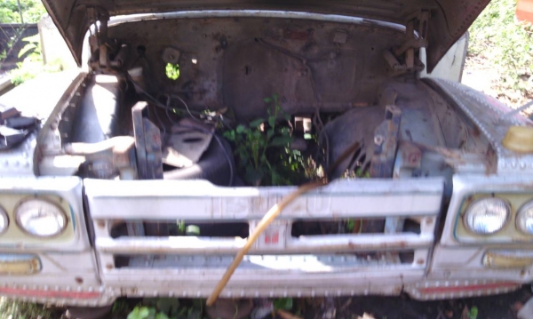 ขายหัวเก๋งหน้ายาว