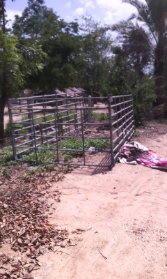 คอก NPR กว้าง210เมตร ยาว430เมตร