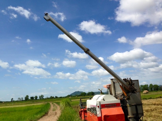 ขายรถเกี่ยวข้าวคูโบต้า