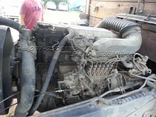 Hino สมอเงินคอกไม้ ปี41 087-2508883คิงส์