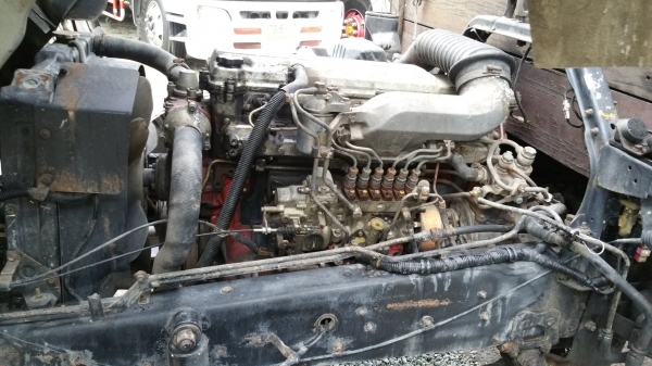 Hino สมอเงินคอกไม้ ปี41 087-2508883คิงส์