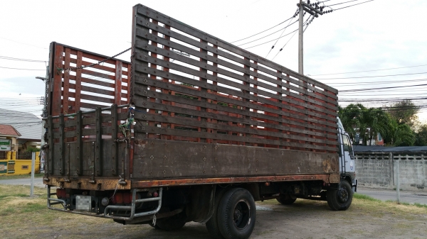 Hino สมอเงินคอกไม้ ปี41 087-2508883คิงส์