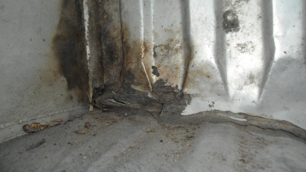 ขายกระบะเลส โตโยต้าม้ากระโดด 5ขอ ขายกระบะเลส โตโยต้าม้ากระโดด 5ขอ