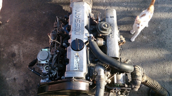 ขายเครื่องยนต์ดีเซลเทอร์โบ นิสสัน Ld20II