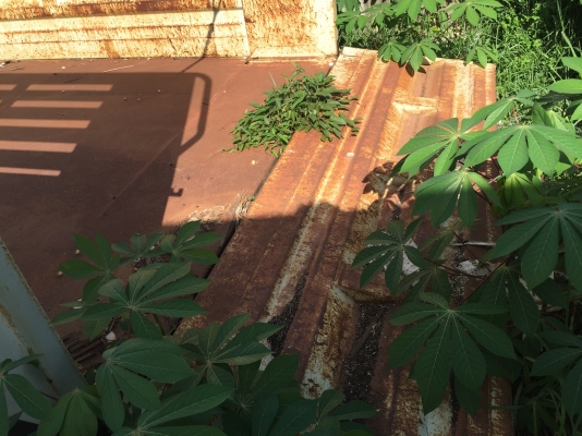 กะบะ10-6ล้อได้สวยๆๆเลย