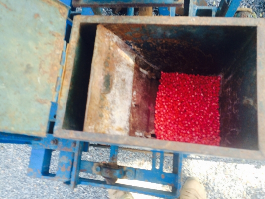 ขายเครื่องหยอดข้าวโพดทานตะวันแบบจานกลิ้งพร้อมใช้