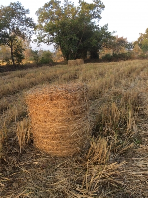 เครื่องอัดฟาง แบบก้อนกลม