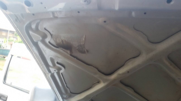 ไมตี้ 4ประตู สวยกิ๊ป สภาพเทพประทานพร ไมตี้ 4ประตู สวยกิ๊ป สภาพเทพประทานพร