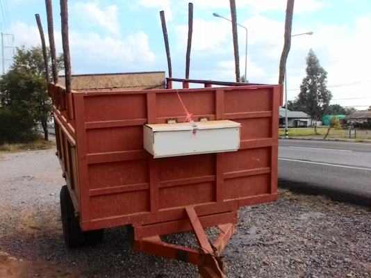 รถพ่วงขนอ้อยข้าวมันใช้งานหนักๆเปิดข้างได้จัดส่งเชียงรายปิดกลางอากาศพร้อมค่าเดินทางครับขอบคุณมากครับ