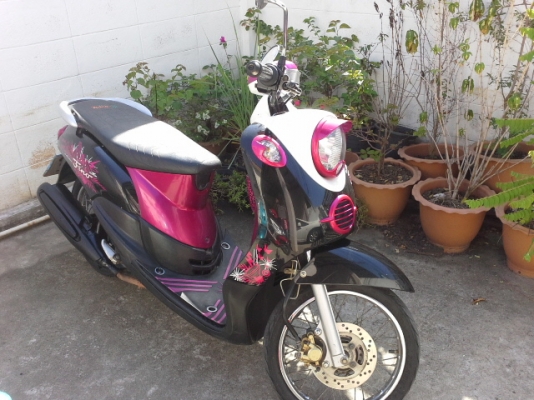 ฟีโน่ปี53