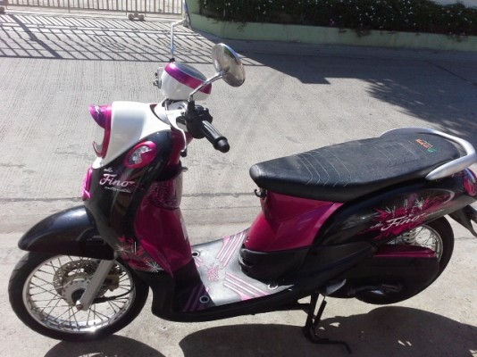 ฟีโน่ปี53 ฟีโน่ปี53