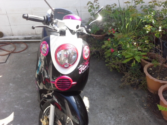 ฟีโน่ปี53 ฟีโน่ปี53