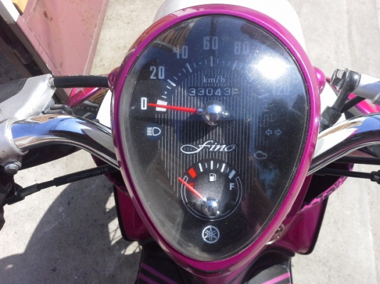 ฟีโน่ปี53 ฟีโน่ปี53