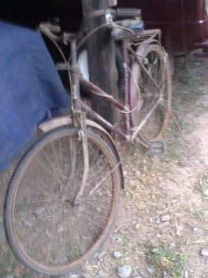จักรยานสแตนดาสโบราณเหมาคู่เหมา 2 คันครับ สแตนดาสรุ่นแรกๆอายุ 30  ปีขึ้นครับเนื้อเหล็กดีเดิมๆครับ ยางต้องเปลี่ยนนะครับ เก็บหลายปีครับ  2 คัน  ราคานี้สุดคุ้มครับ