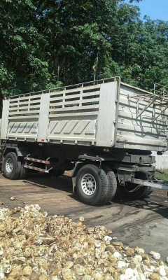 18ลัอแม่-ลูกดั้มดิน เหืองช้า. รถไม่เคยวิ่งดิน..สวยมาก ห้างแท้เดิมๆ...