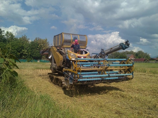 ขายด่วน....( ราคา 520,000) รถเกี่ยวข้าวเกษตรพัฒนา รุ่นไอ้หนุ่มไวไฟ ขายด่วน....( ราคา 520,000) รถเกี่ยวข้าวเกษตรพัฒนา รุ่นไอ้หนุ่มไวไฟ