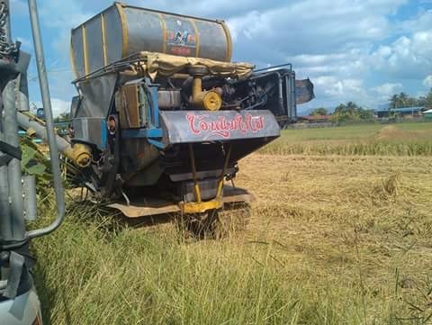 ขายด่วน....( ราคา 520,000) รถเกี่ยวข้าวเกษตรพัฒนา รุ่นไอ้หนุ่มไวไฟ ขายด่วน....( ราคา 520,000) รถเกี่ยวข้าวเกษตรพัฒนา รุ่นไอ้หนุ่มไวไฟ